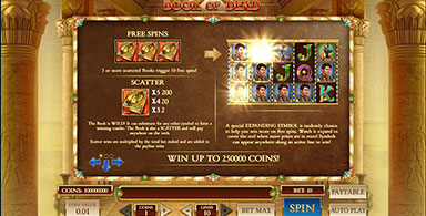 Book of the Dead is a great video slot