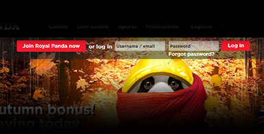 Royal Panda’s login menu.