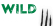 Wild Casino Logo
