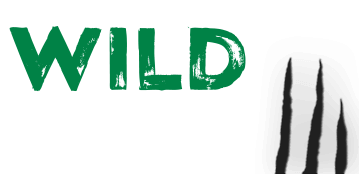 Wild Casino Logo